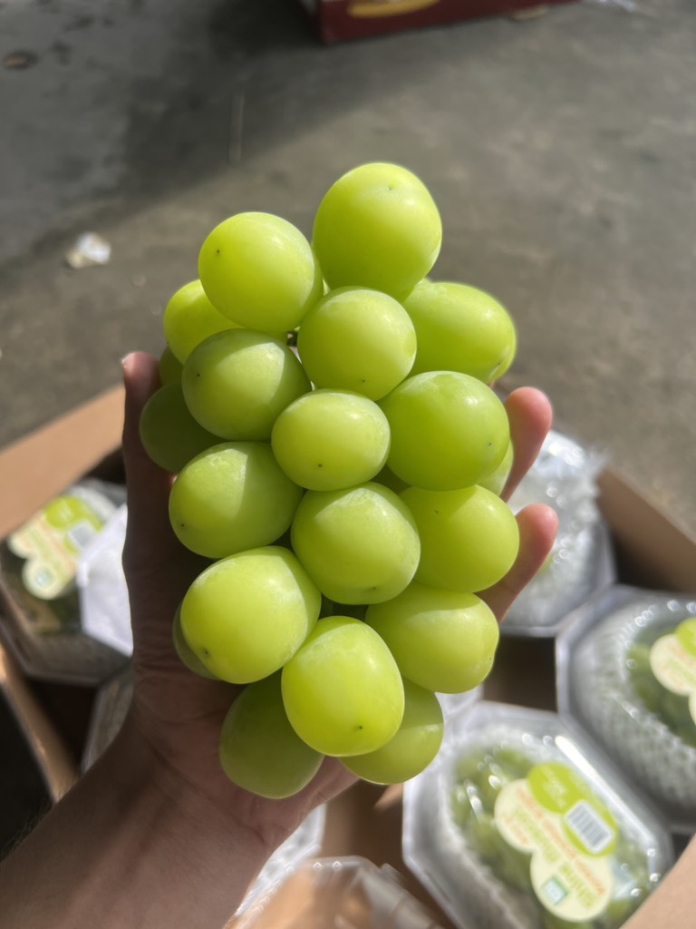 Nho Mẫu Đơn Greenvil Hàn Quốc (hộp 450gr)