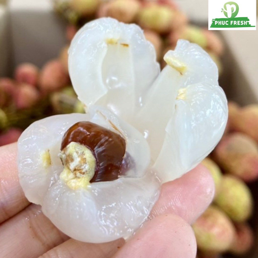 Vải U Hồng Đắk Lắk