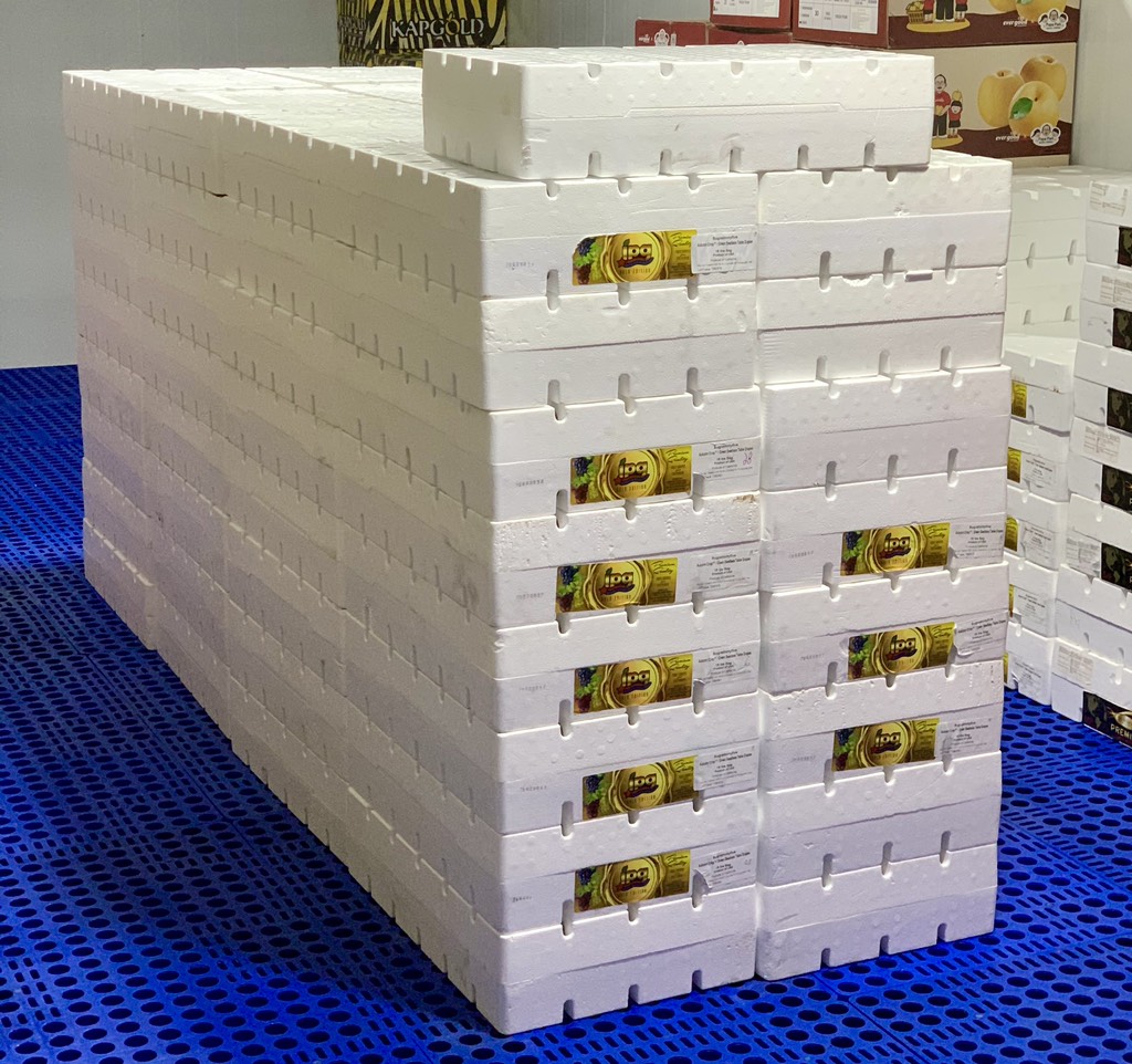 Nho Xanh Autumn JPG sea