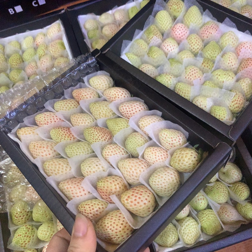 Dâu Bạch Tuyết Đà Lạt sz 20 (hộp 250gr)