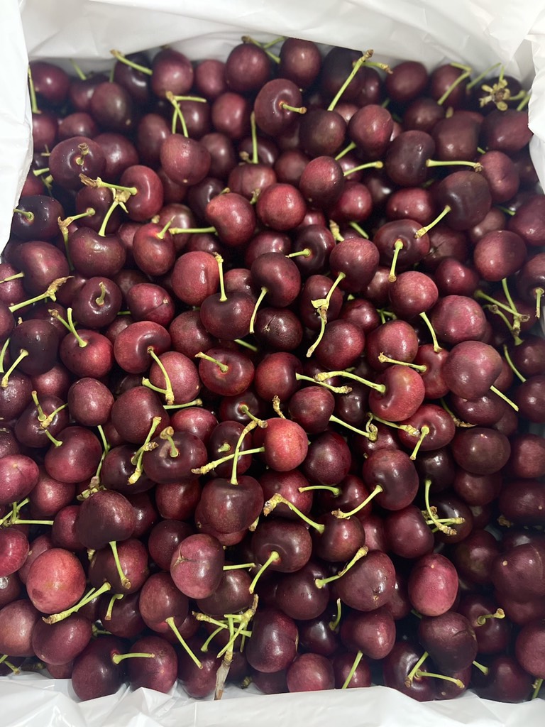 Cherry Mỹ GDM size 9