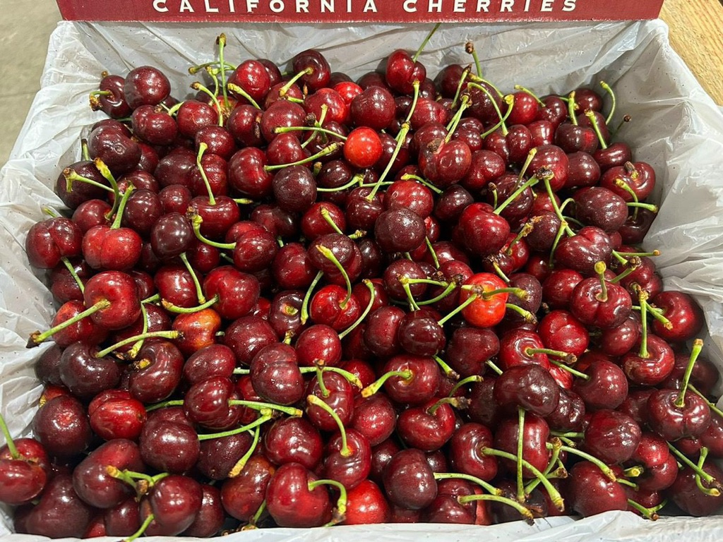 Cherry Mỹ Sequoia (cali)