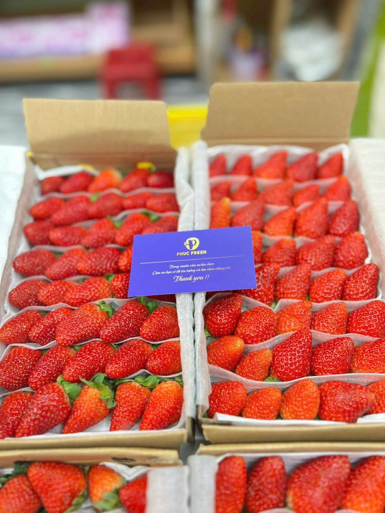 Dâu Montery thuỷ canh Đà Lạt hộp 500g