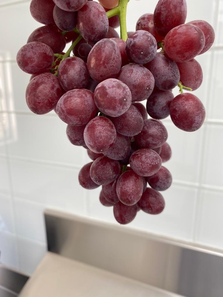 Nho kẹo Mỹ Candy Snap hộp 450g