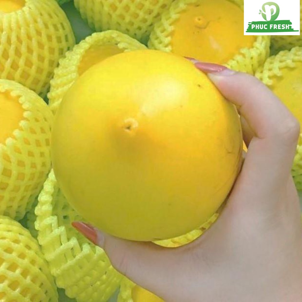 Vú sữa hoàng kim