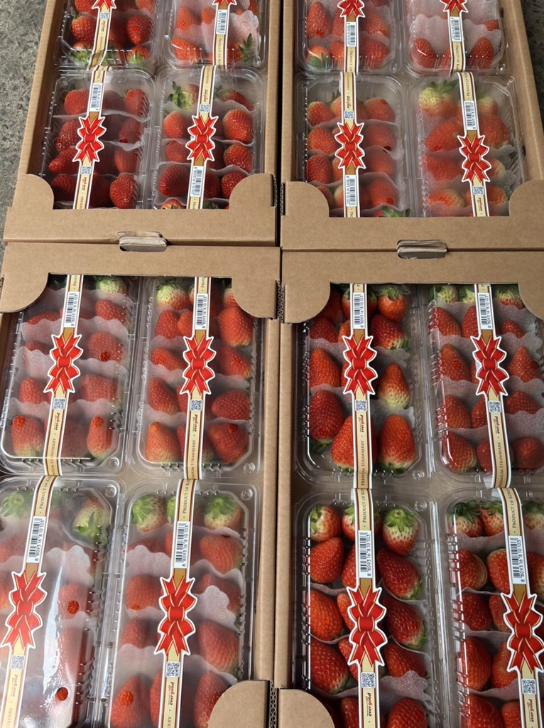 Dâu Hàn tem nơ 330g