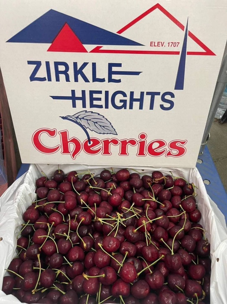 Cherry Mỹ ZIRKLE size 9