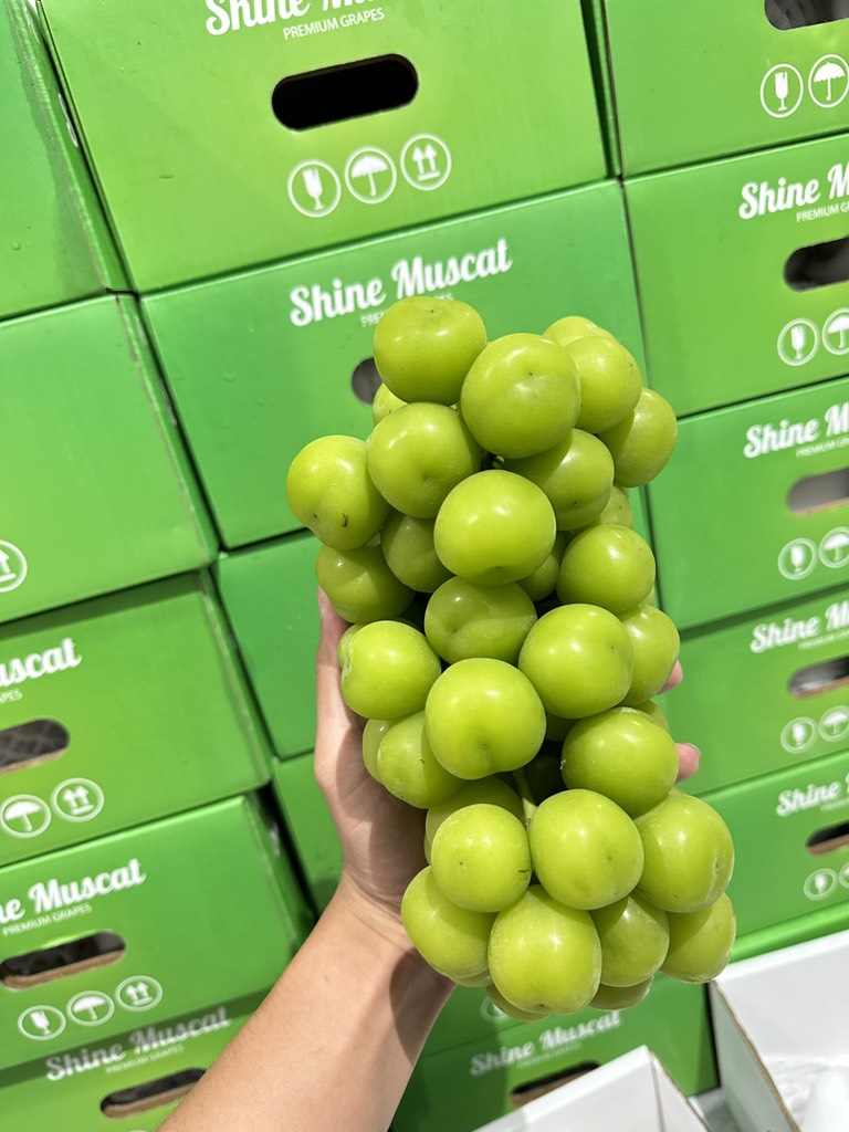 Nho mẫu đơn Đài Loan