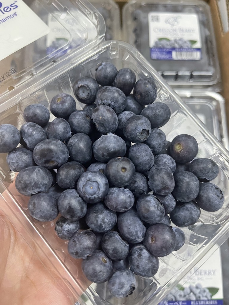 Việt Quất Mỹ Naturipe/Oregon