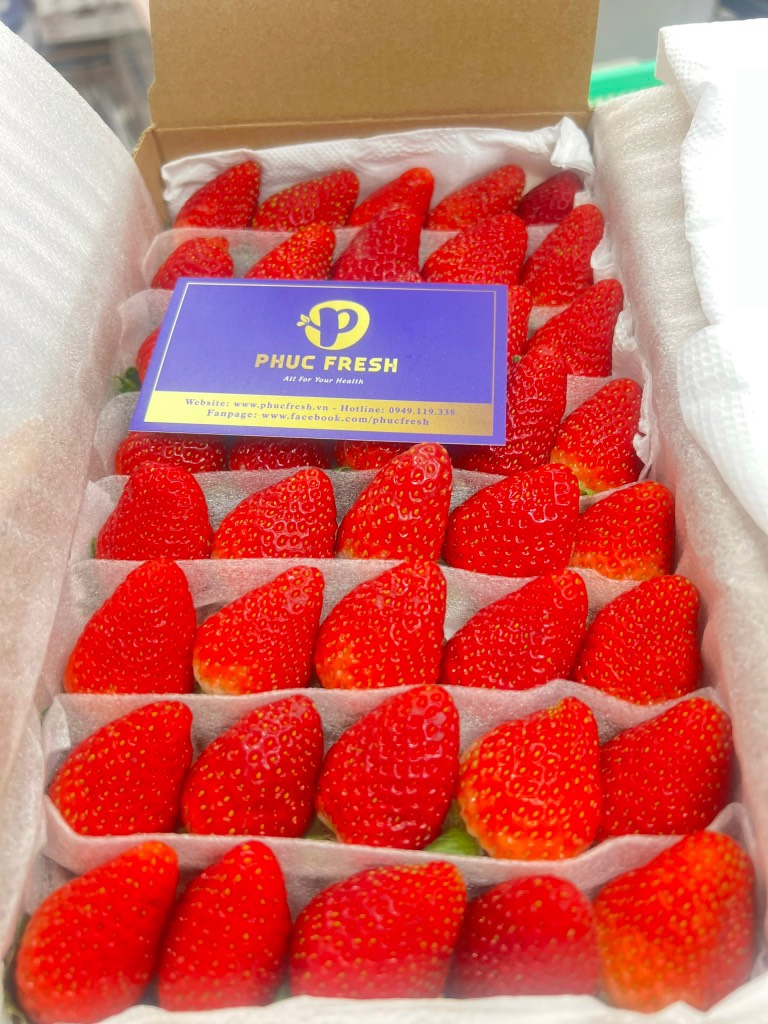 Dâu Montery thuỷ canh Đà Lạt hộp 500g