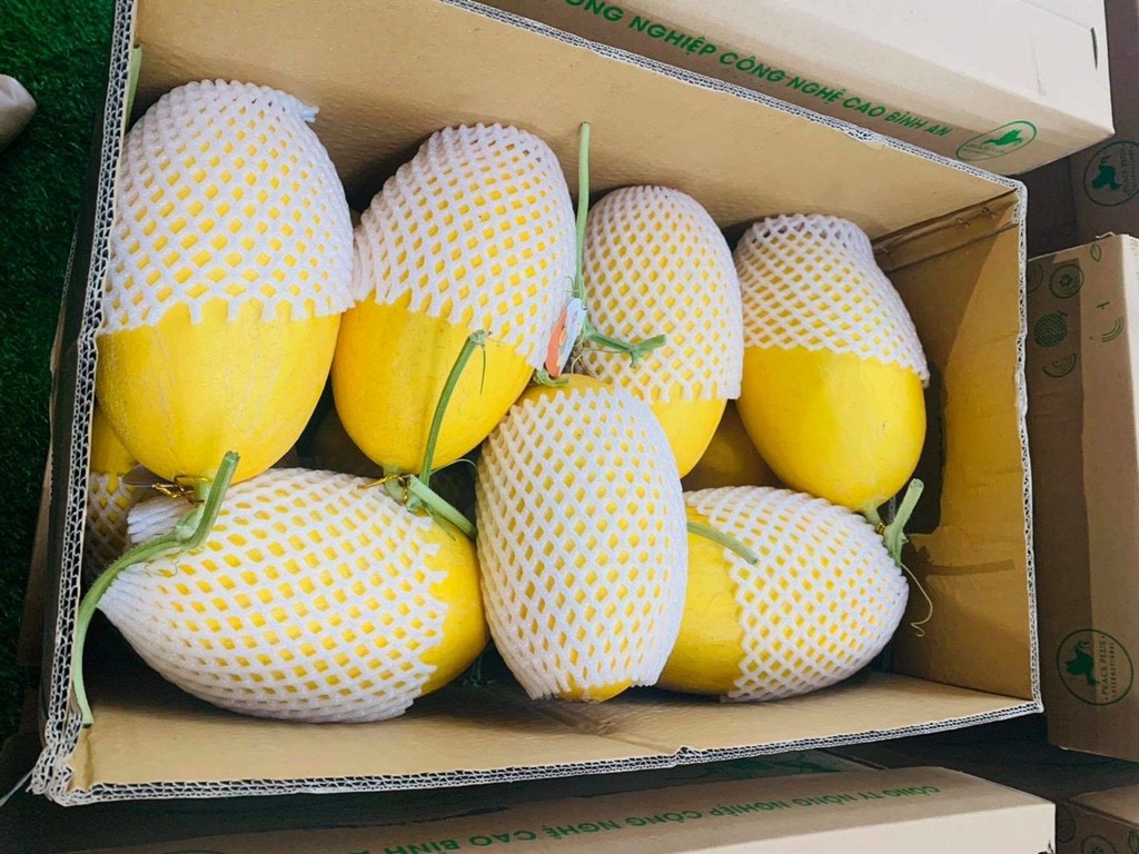 Dưa lưới hoàng kim huỳnh long globalgap (Bình An Farm)