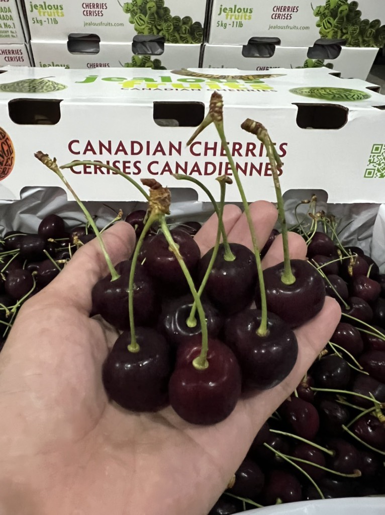 Cherry chuối Canada size 10