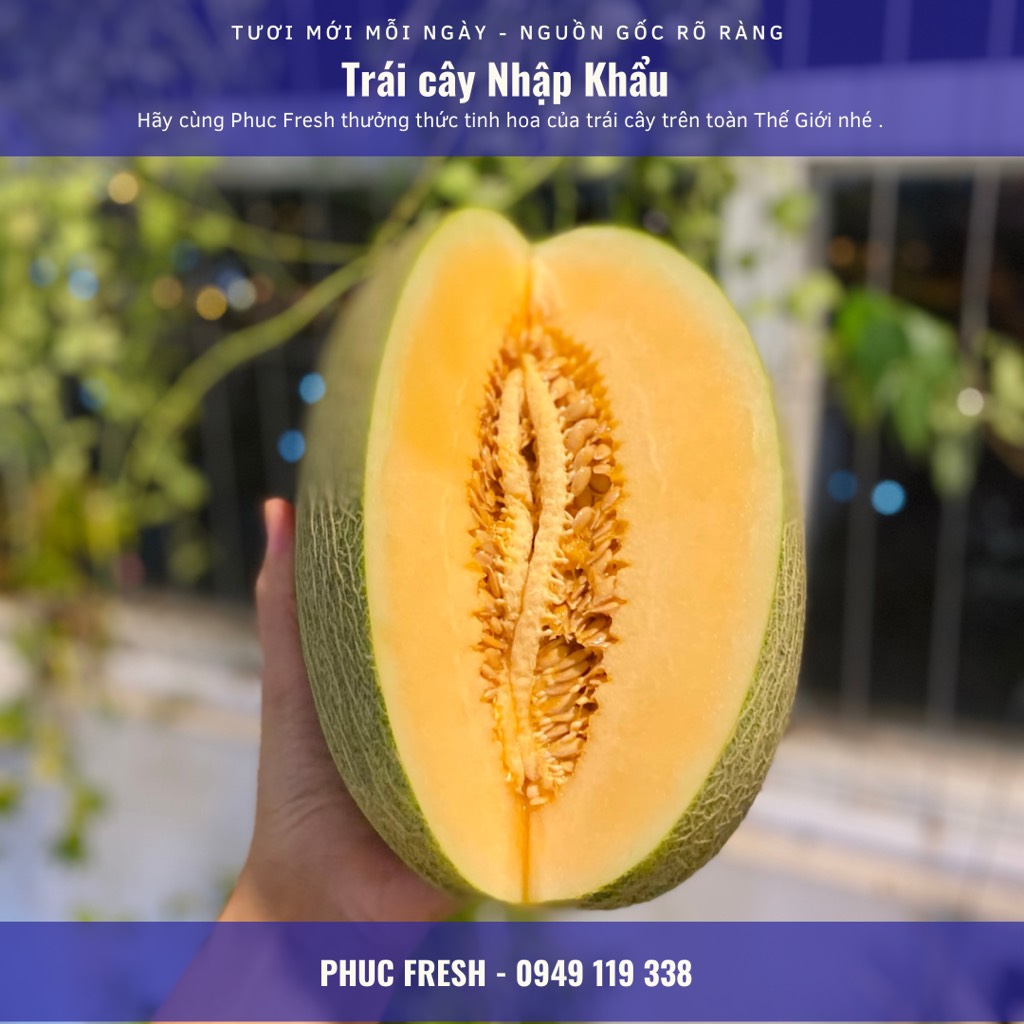 Dưa lưới Đài Loan (Trái)