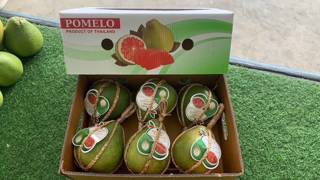 Bưởi Ruby Thái Lan