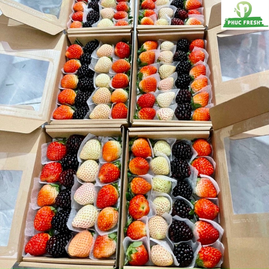 Set Tươi Trẻ Mix B (Dâu bạch tuyết, Nhật, Mons và Phúc bồn tử