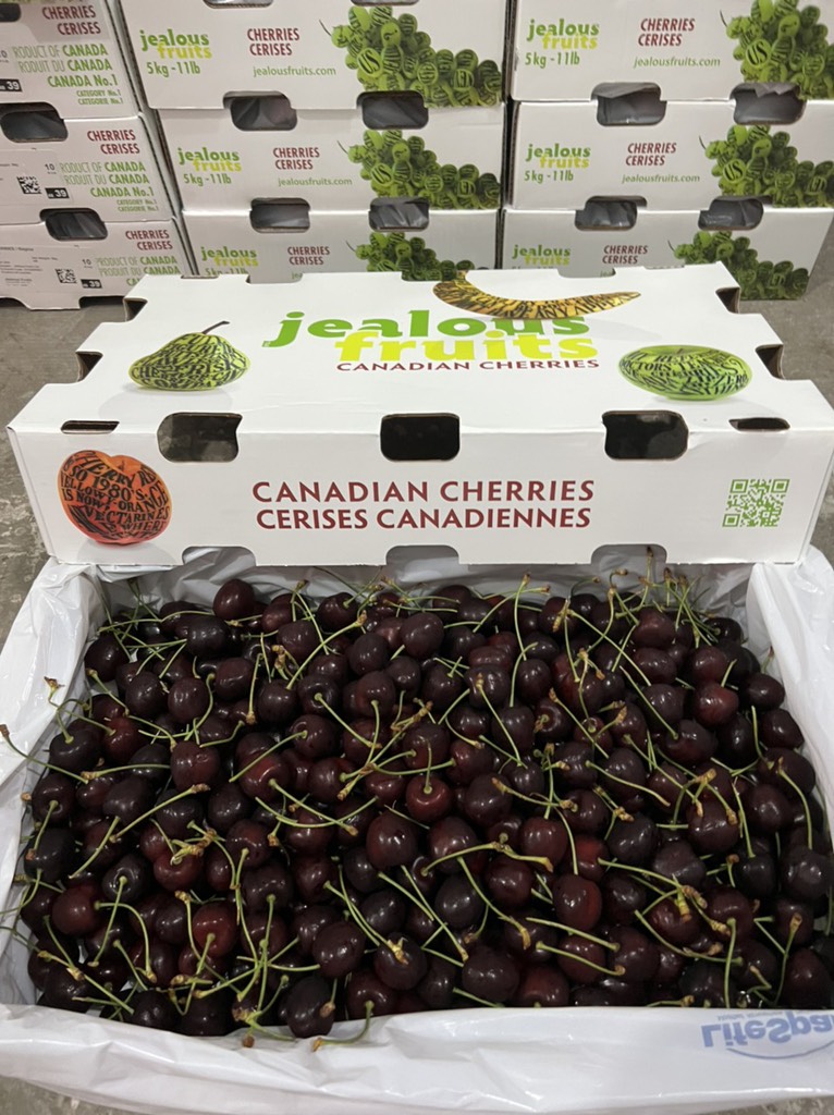 Cherry chuối Canada size 10
