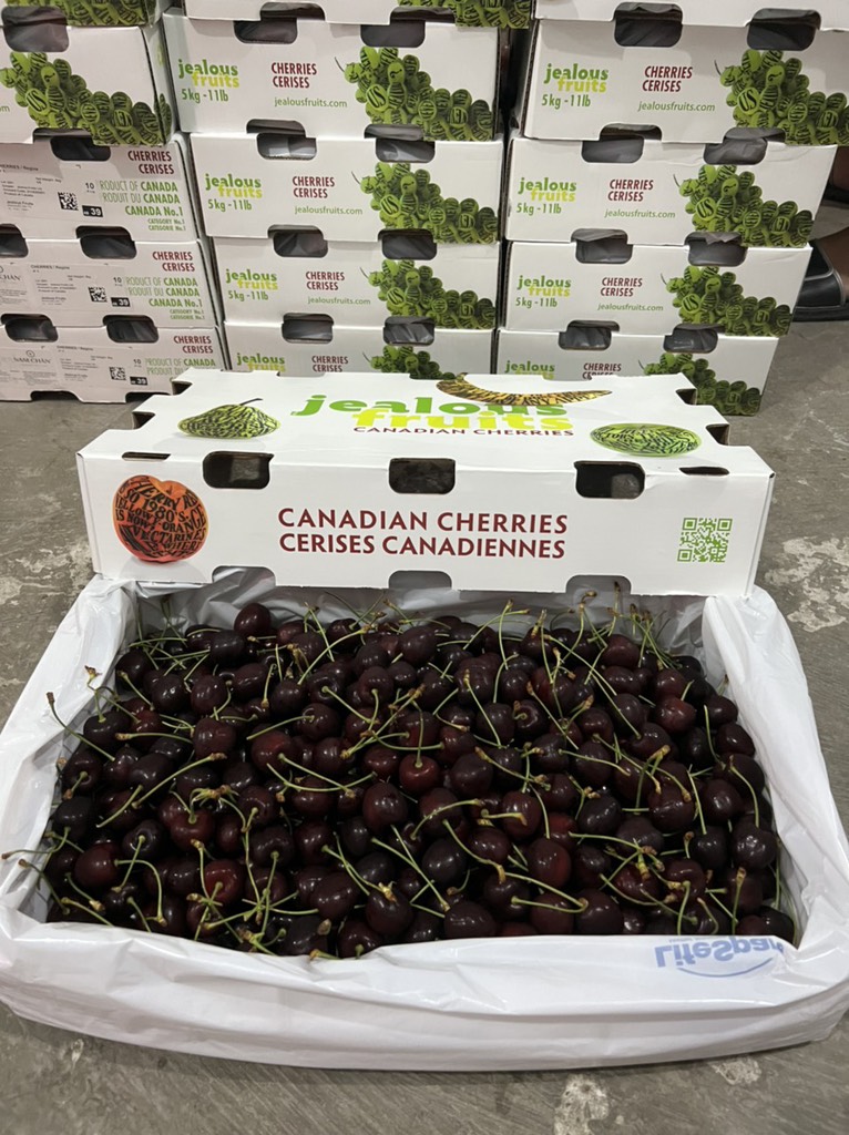 Cherry chuối Canada size 10
