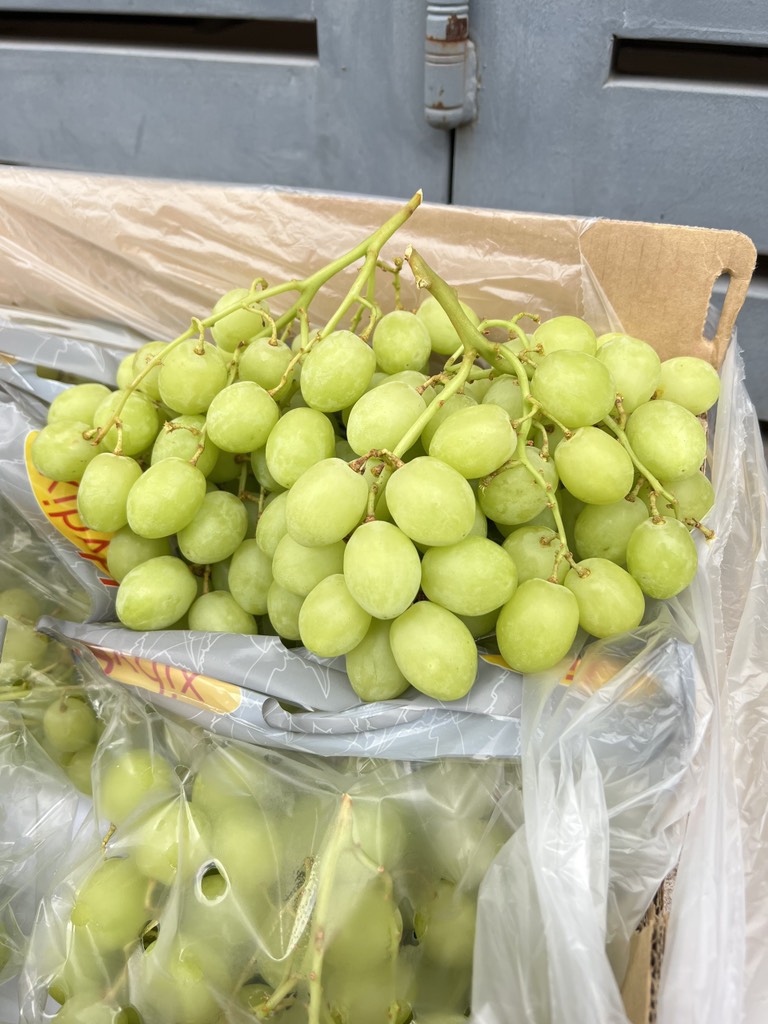 Nho Xanh sweet global Hydix Nam Phi (air)