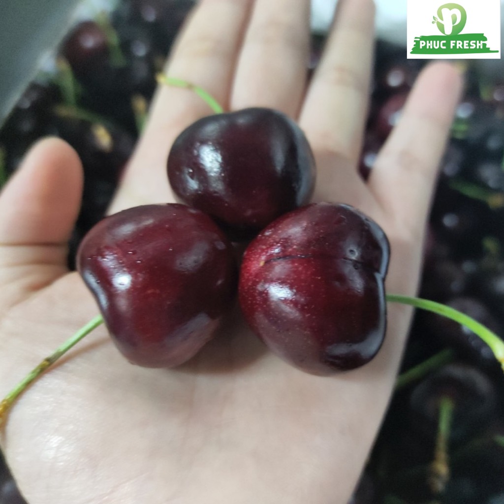 Cherry Mỹ Meena size 9