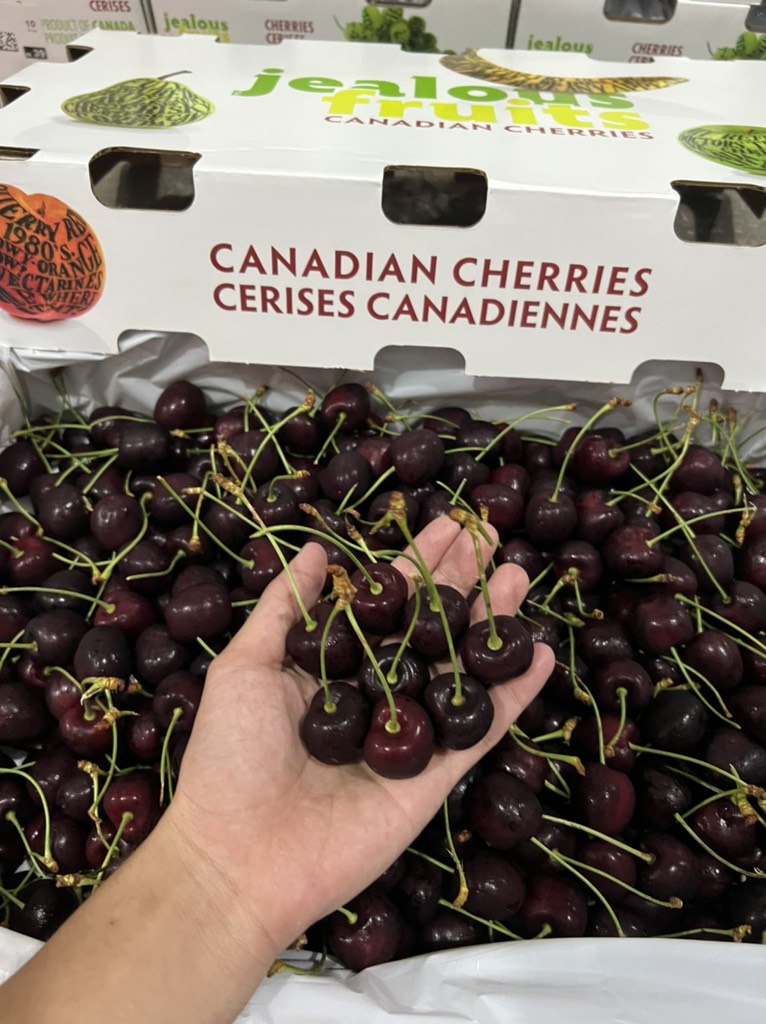 Cherry chuối Canada size 10