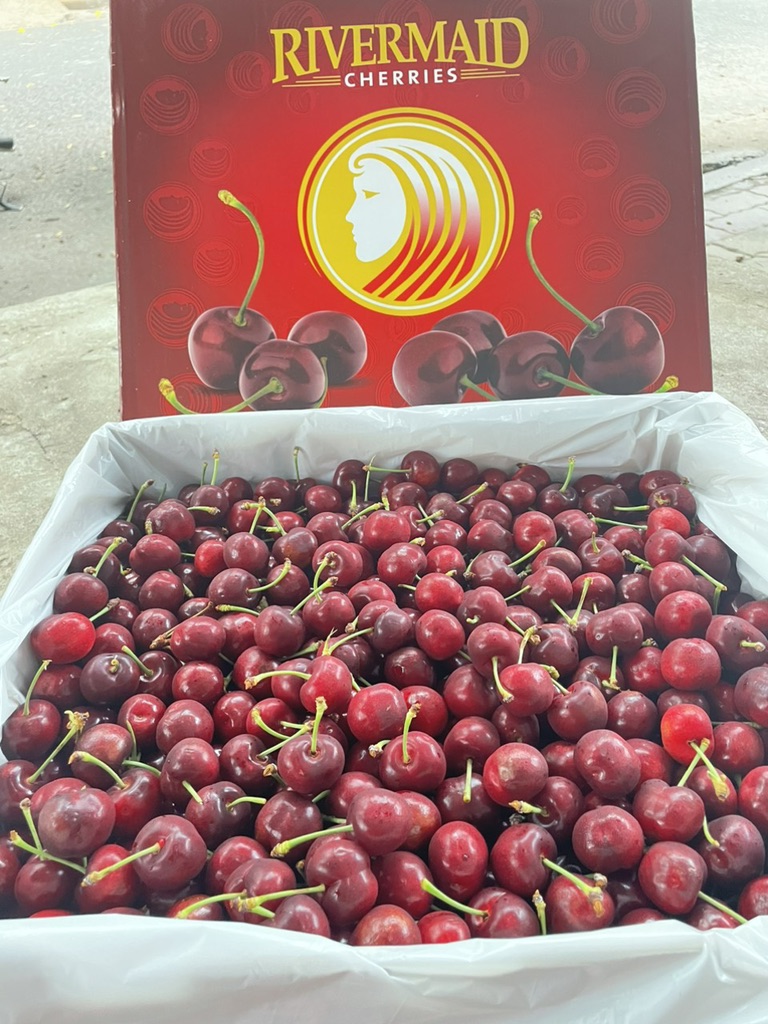 Cherry Mỹ Rivermaid size 10