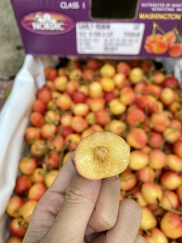 Cherry vàng Mỹ Nordic size 10