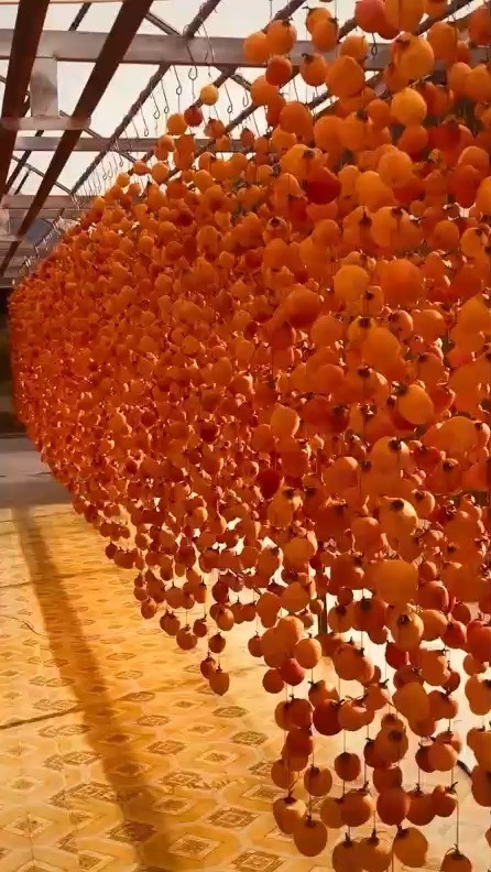 Hồng Treo Gió (hồng trứng nhỏ - không hạt) hộp 500gr
