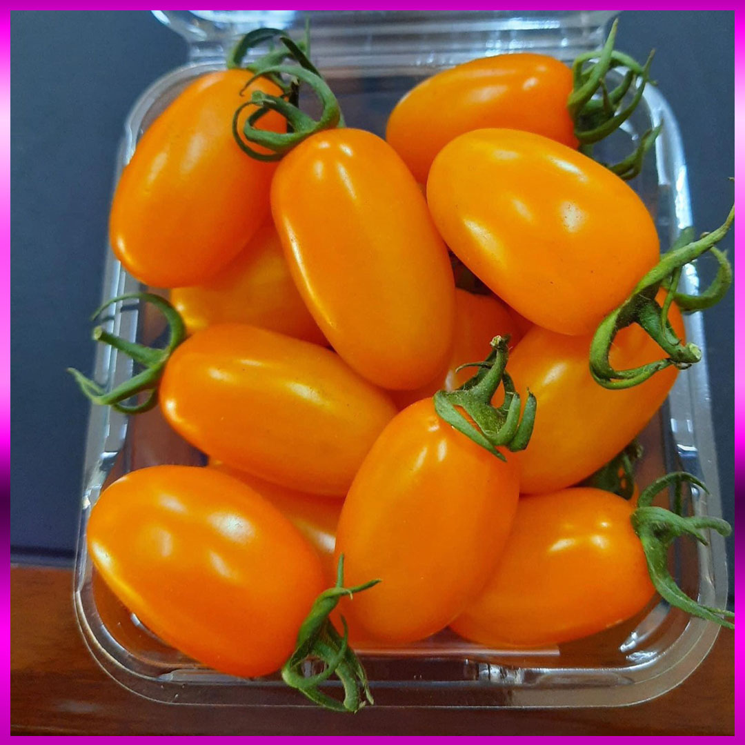 Cà chua trái cây Nova (Vietgap) bán lẻ