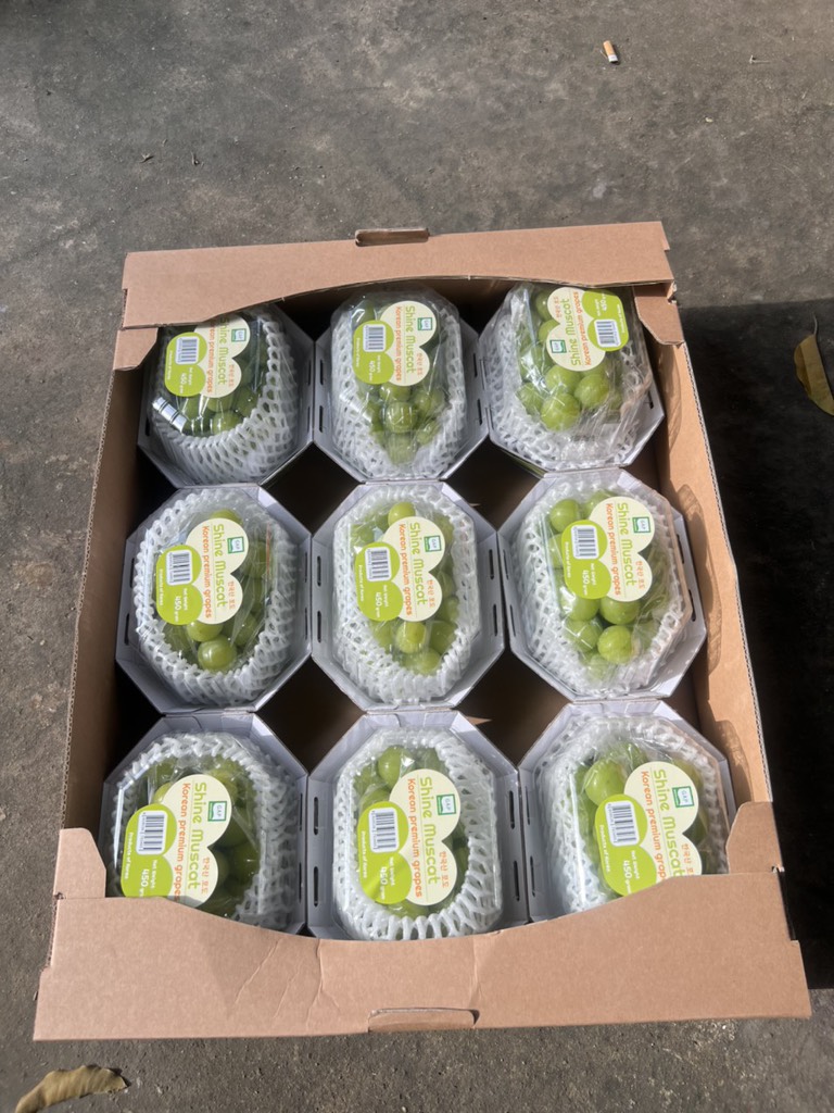 Nho Mẫu Đơn Greenvil Hàn Quốc (hộp 450gr)
