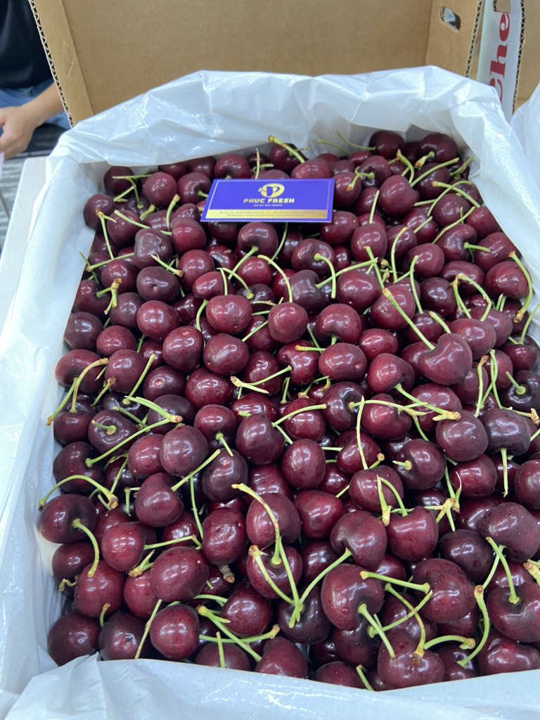 Cherry Mỹ chuông chủng black pear sz 9.5