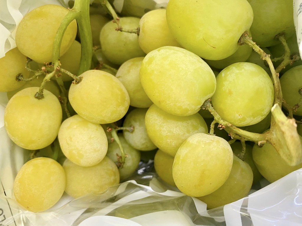 Nho xanh Fruitico Úc