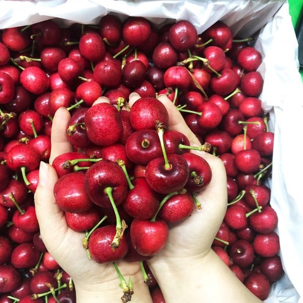 Cherry Mỹ Meena 8.5