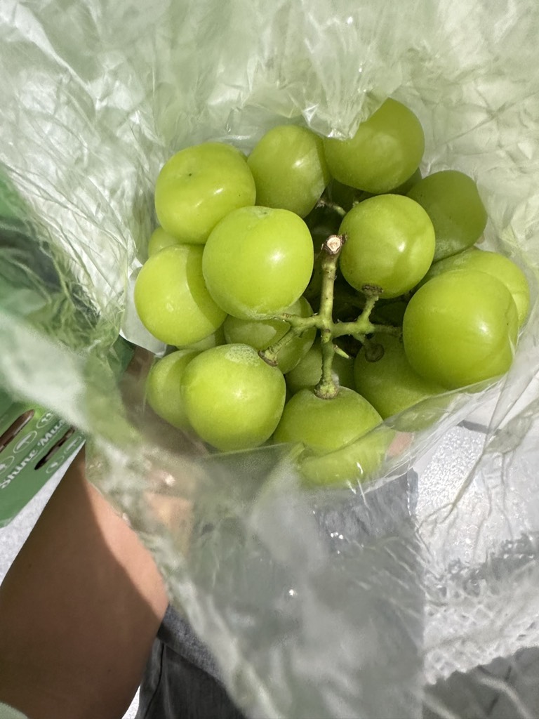 Nho mẫu đơn Đài Loan