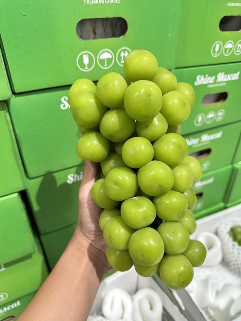 Nho mẫu đơn Đài Loan