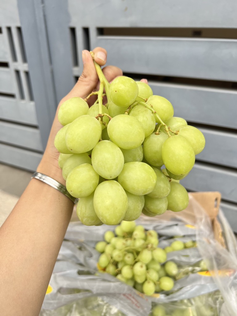 Nho Xanh sweet global Hydix Nam Phi (air)