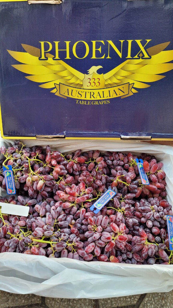 Nho đỏ Úc không hạt hàng air