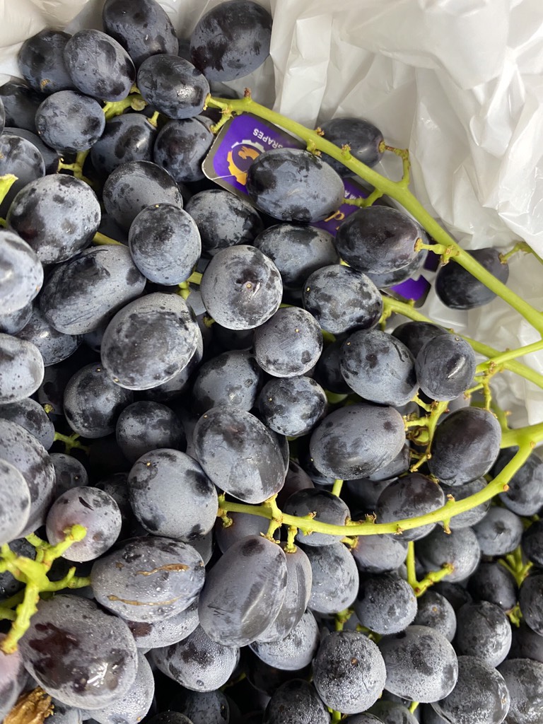 Nho đen Úc Gold Fuji