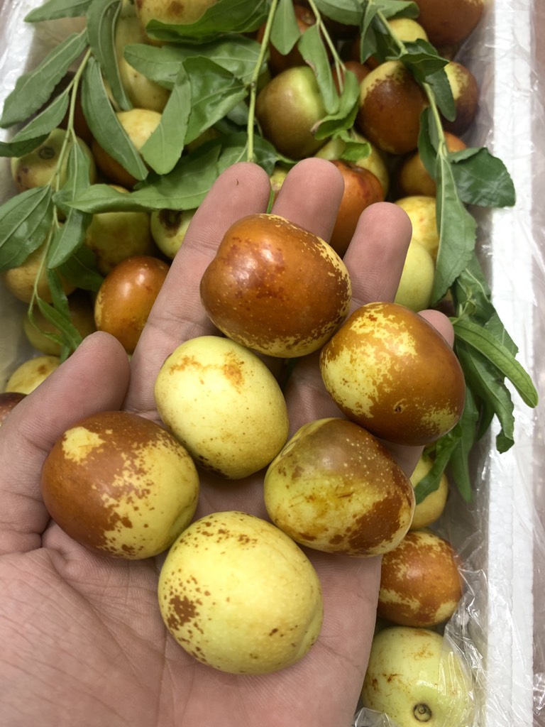 Táo tàu VIP (hồng táo)