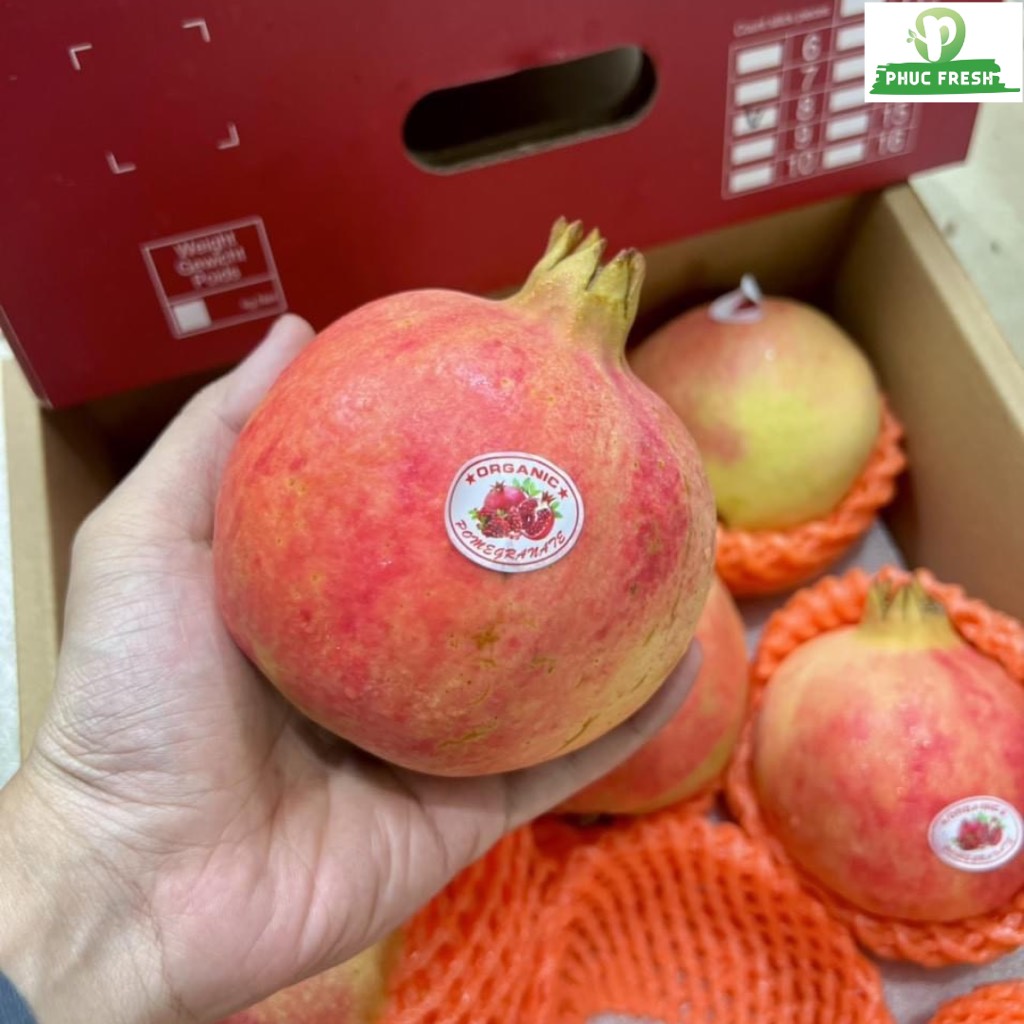 Lựu (Pomegrante) Trung xuất Thái size 8-9-10