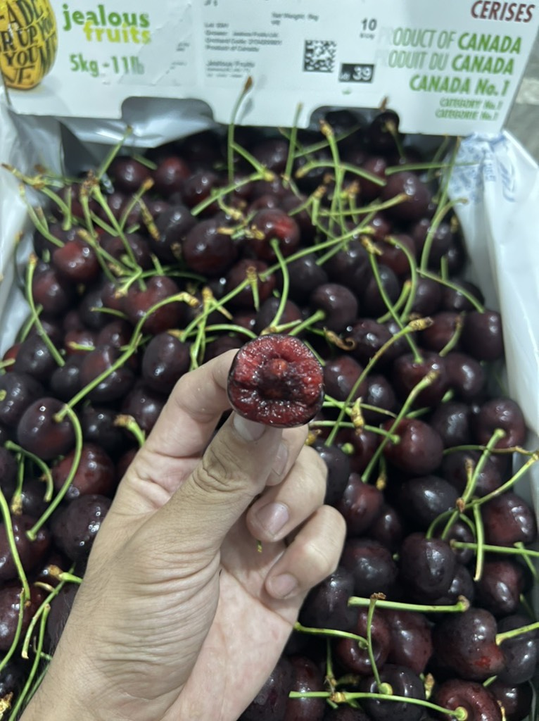 Cherry chuối Canada size 10