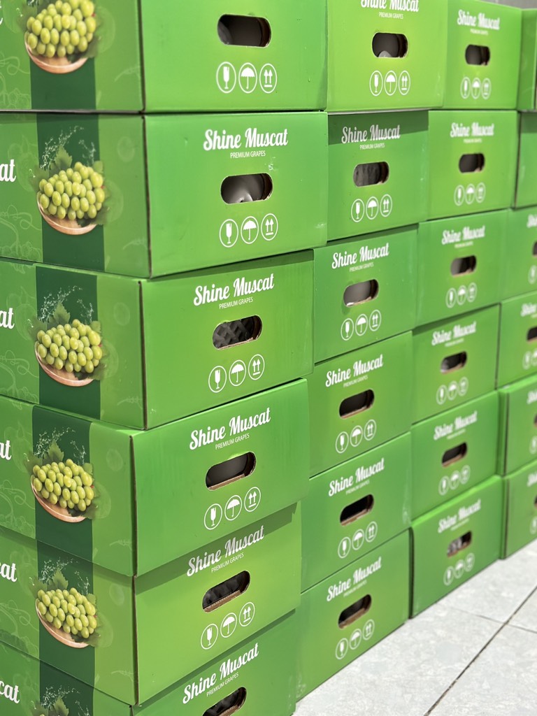 Nho mẫu đơn Đài Loan