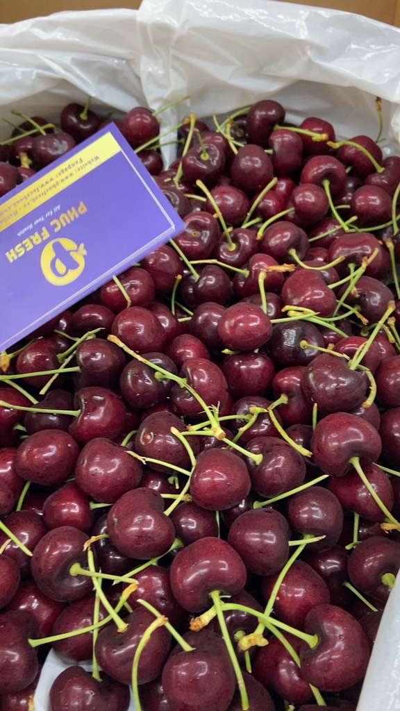 Cherry Mỹ chuông chủng black pear sz 9.5