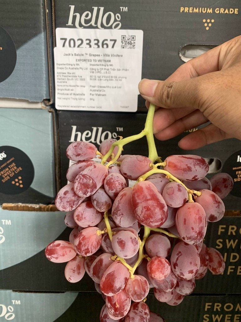 Nho đỏ Úc Hello
