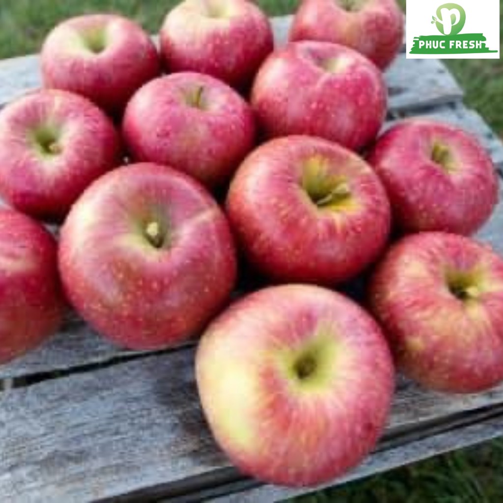 Táo Ever Crisp Mỹ size 45