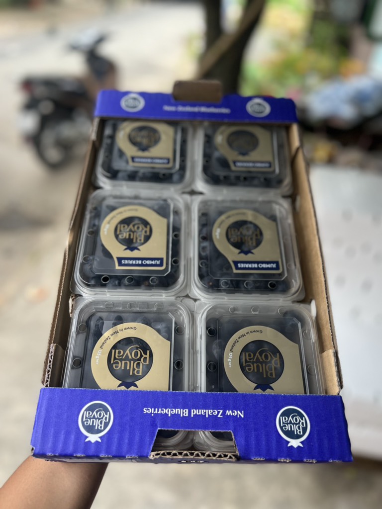 Việt quất Newz Blue Royal hộp 125gr