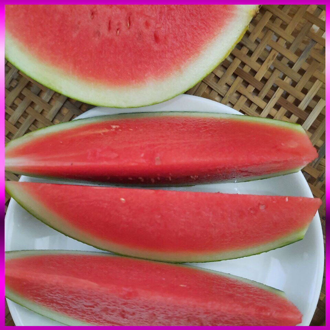 Dưa hấu không hạt Vietgap