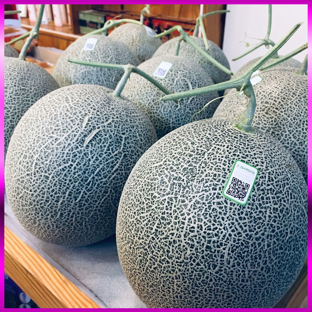Dưa lưới (dưa Mật) E-garden premium