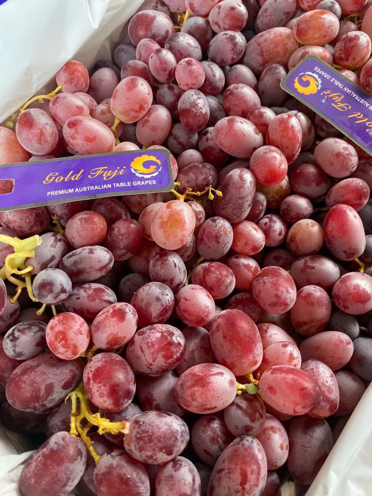 Nho đỏ Long Crimson/Oliver