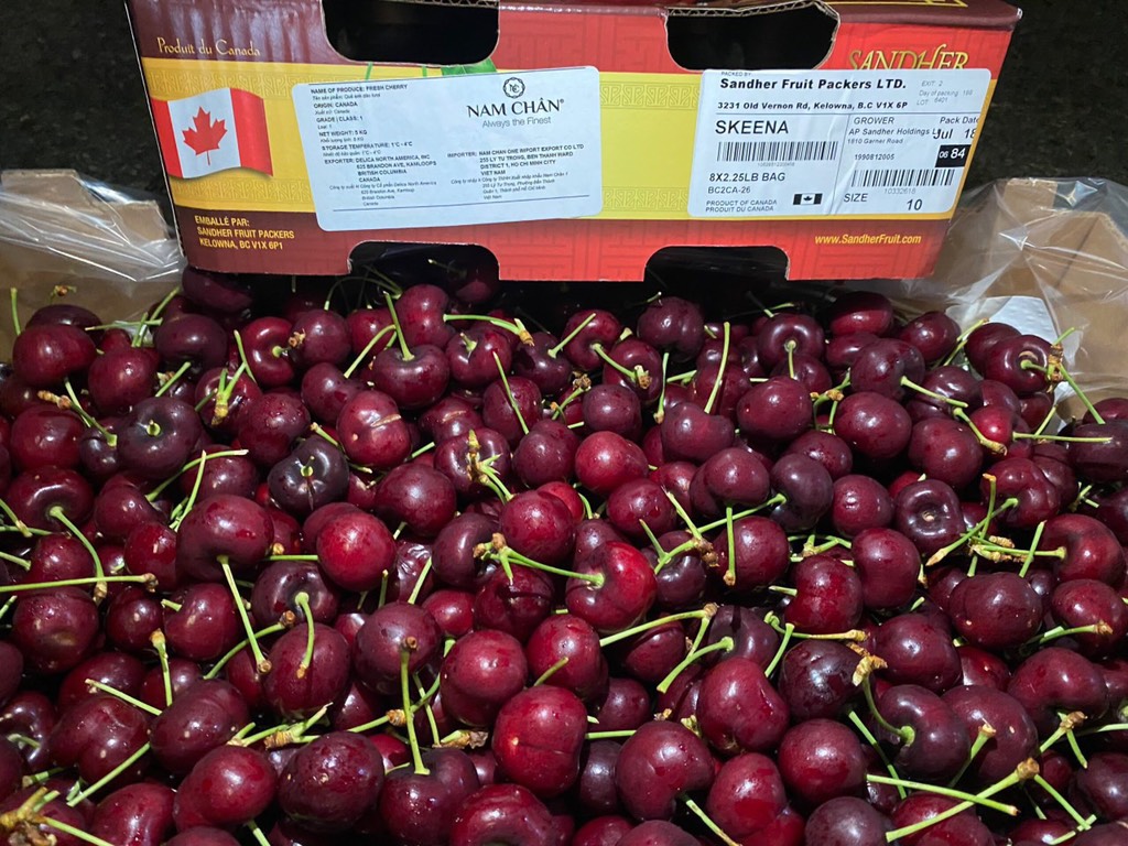 Cherry Canada Sandher size 10
