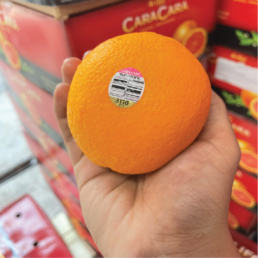 CAM CARA RUỘT ĐỎ